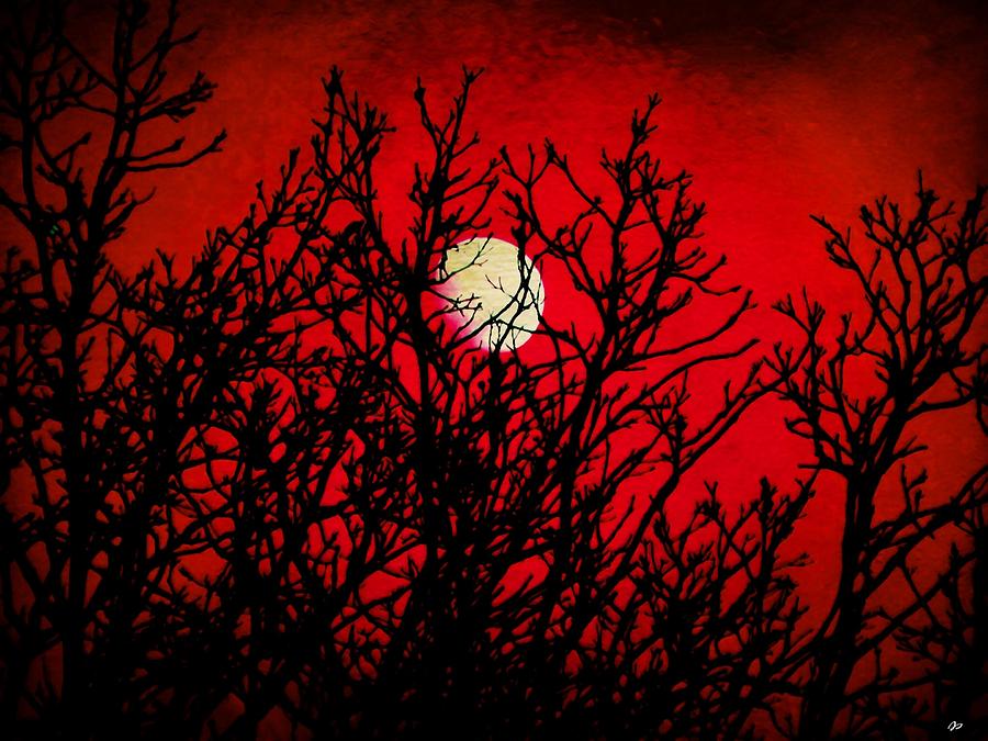 Red Trees Painting - Scarlet Night by Jared Johnson Red Trees Painting - Scarlet Night by Jared Johnson