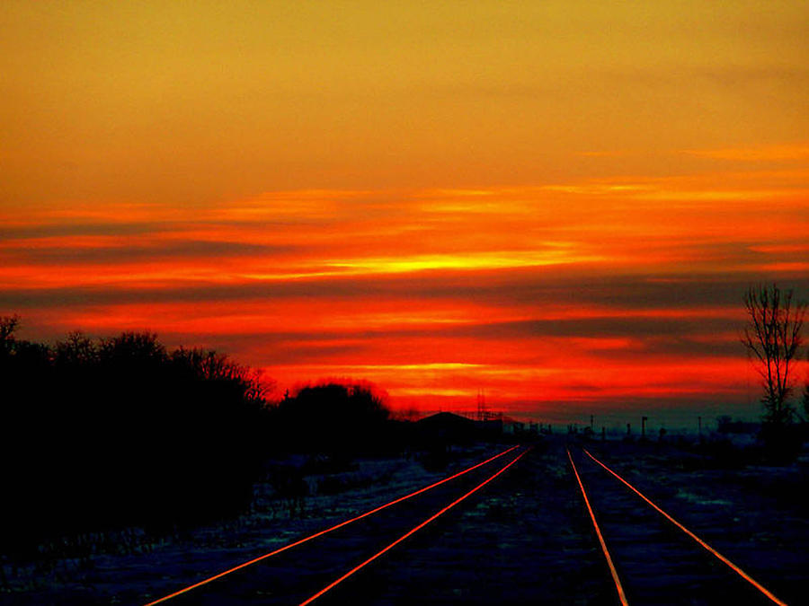 Scarlet Rails Photograph by Larry Trupp