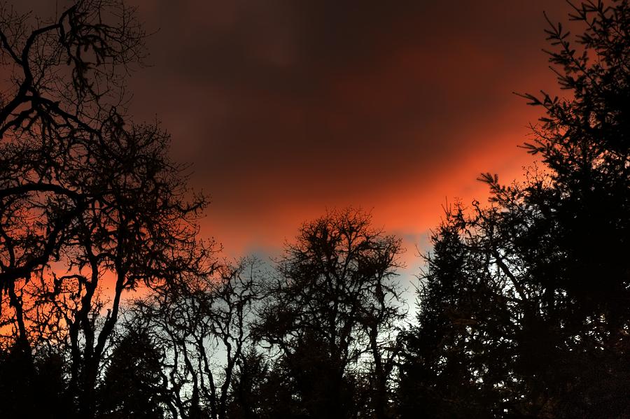 Scarlet Sky Photograph by Tyra OBryant - Fine Art America