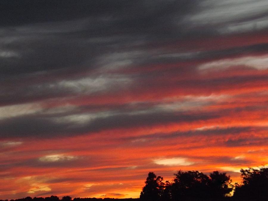 Scarlet Sunset Photograph by Stephanie Hoppes