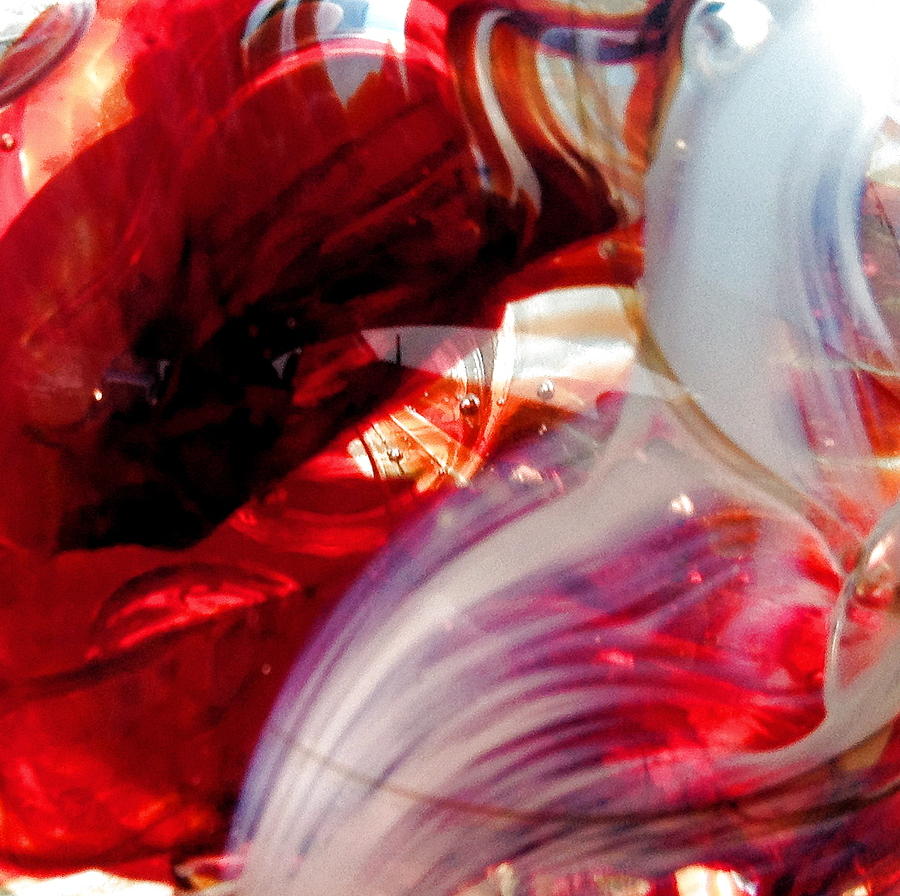Scarlet Swirls Abstract Photograph by Angela Rath