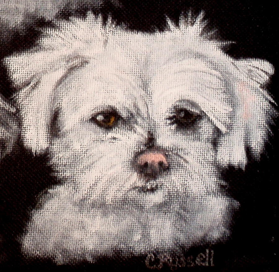 Scarlett Lucy Painting by Carol Russell