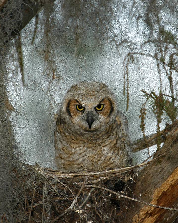 Owl Digital Art - Scary Owl by Michael Wolf