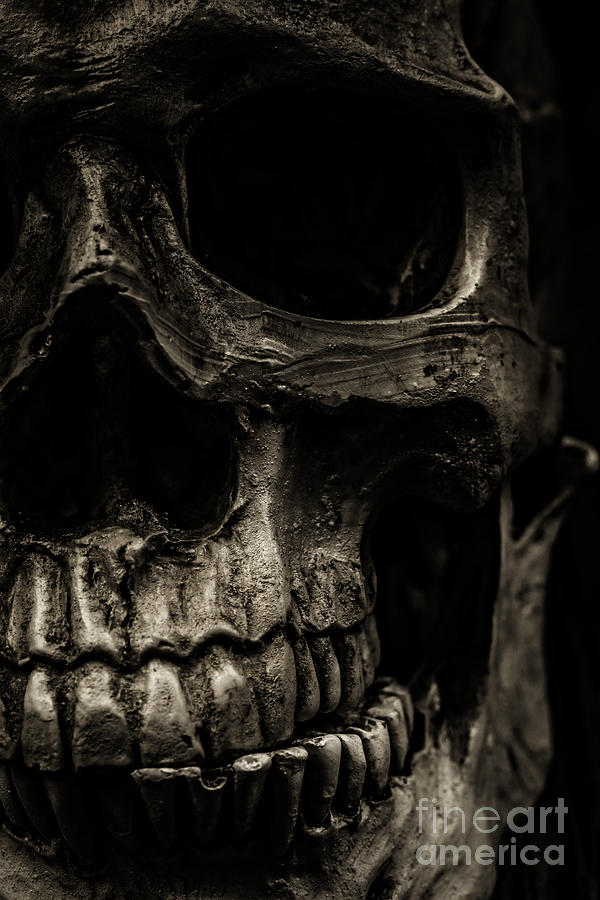 Still Life Photograph - Scary Skull by Edward Fielding
