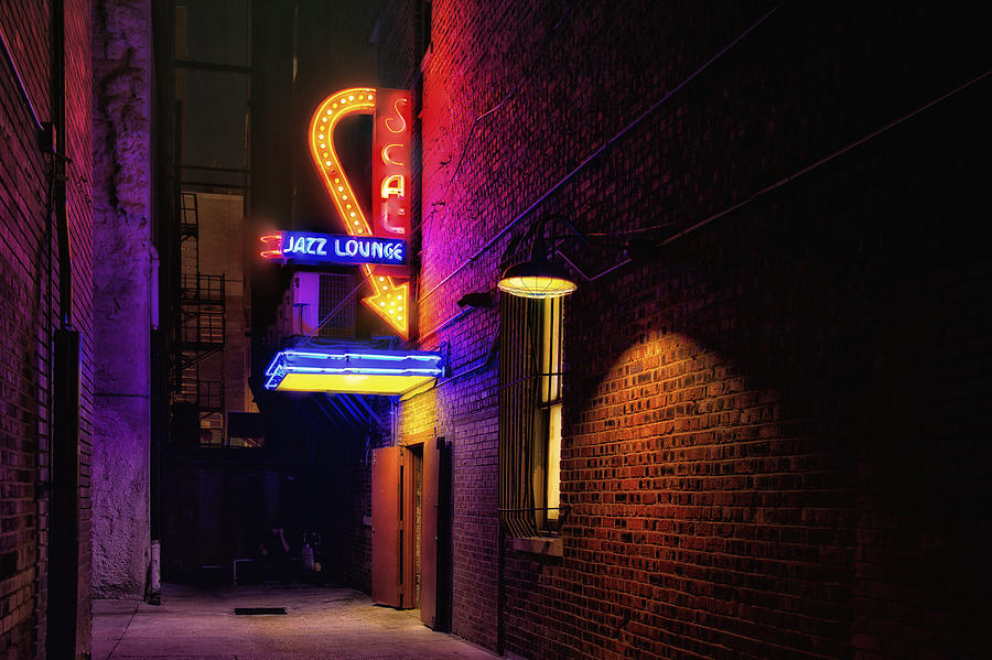 SCAT Jazz Lounge Photograph by Debby Richards