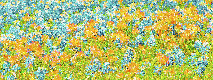 Scattered Impressions Bold Wildflowers  Digital Art by Pamela Smale Williams