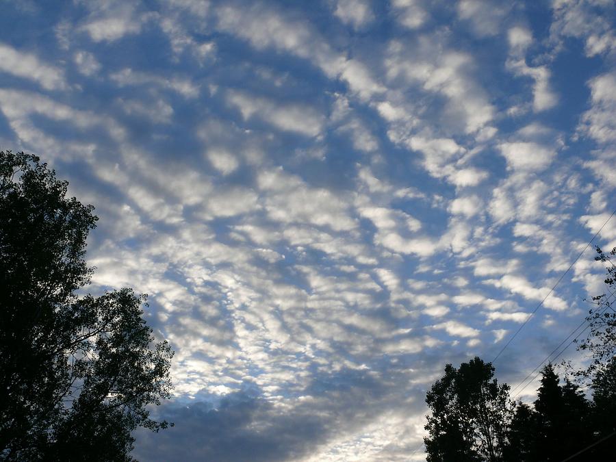 Scattered in the sky Photograph by Brenda Ketch