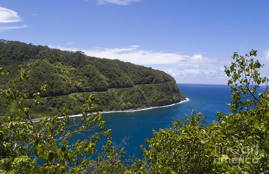 Scenery From The Famous Road To Hana Photograph by Bill Bachmann