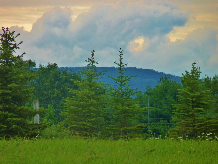 Scenery in Northern PA Photograph by Jeanette Oberholtzer