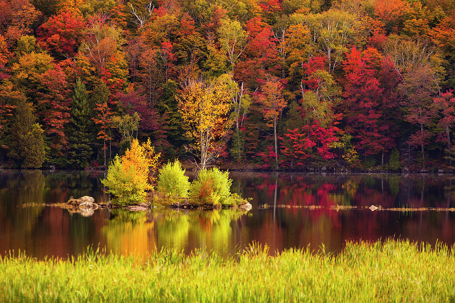 Scenery Of Kent Pond Lake And Forest Photograph by Carl D. Walsh - Fine ...