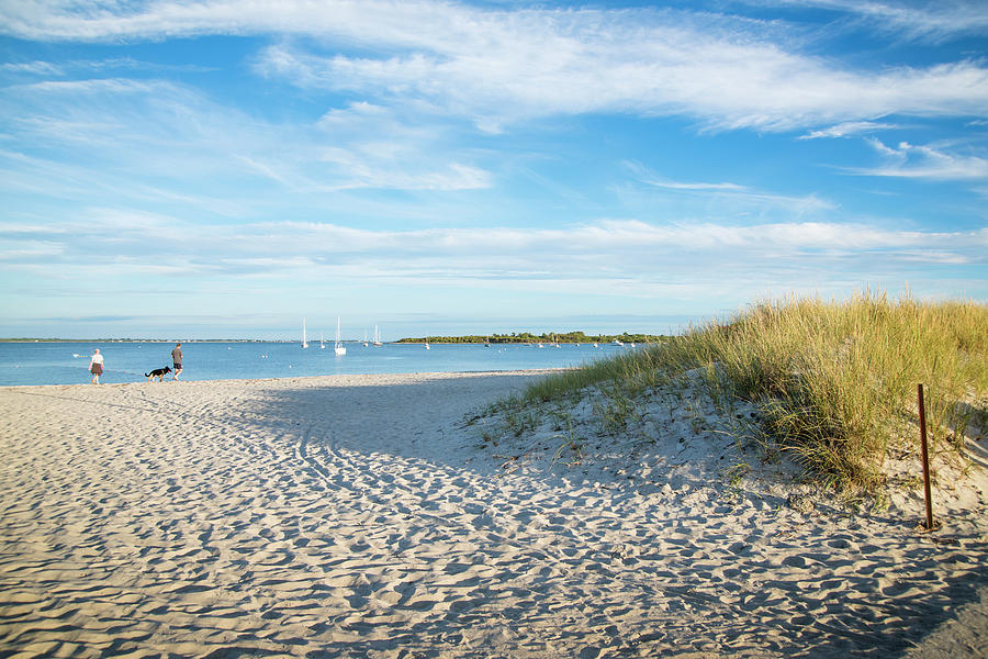 Scenery Of Sandy Beach Photograph by Cate Brown Scenery Of Sandy Beach Photograph by Cate Brown