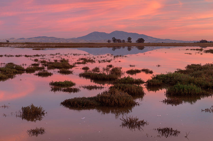 Sunset Photograph - Scenery Of Suisun Marsh At Sunset by Peter Essick