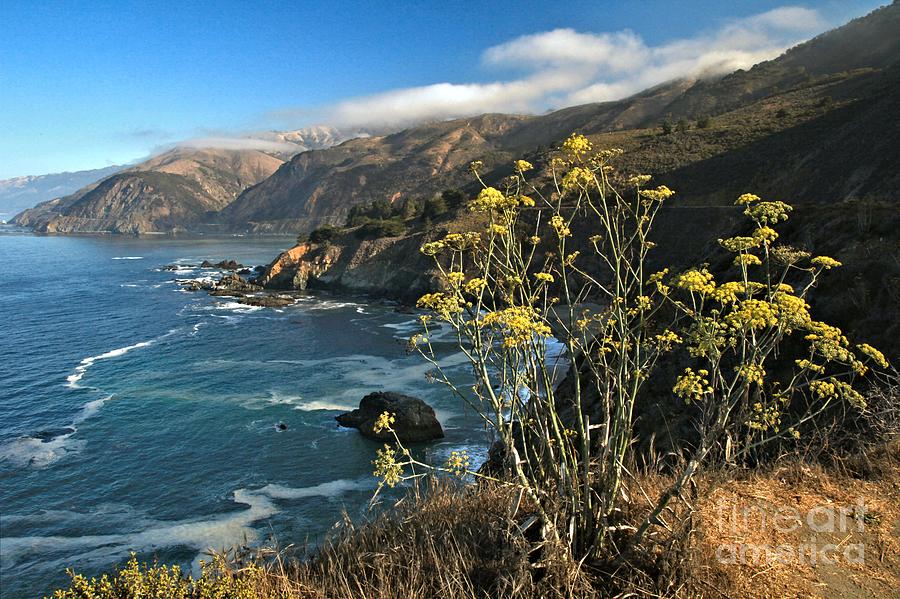 Scenic At Big Sur Photograph by Adam Jewell