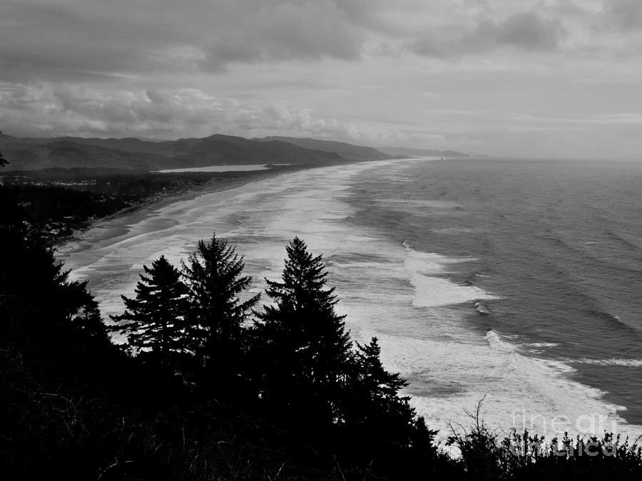 Scenic Coastal Oregon Photograph by Scott Cameron