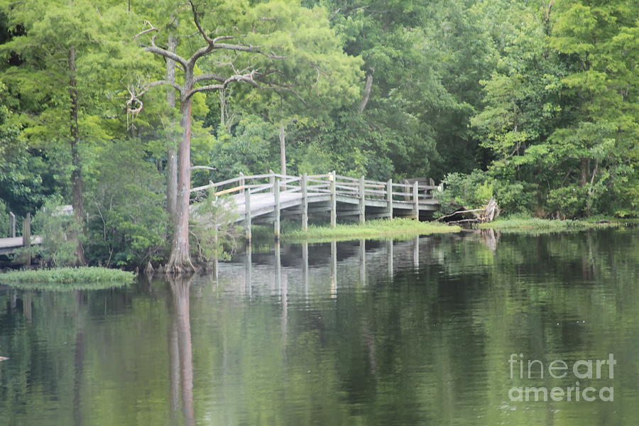 Bridge Photograph - Scenic Crossing by Cathy Lindsey