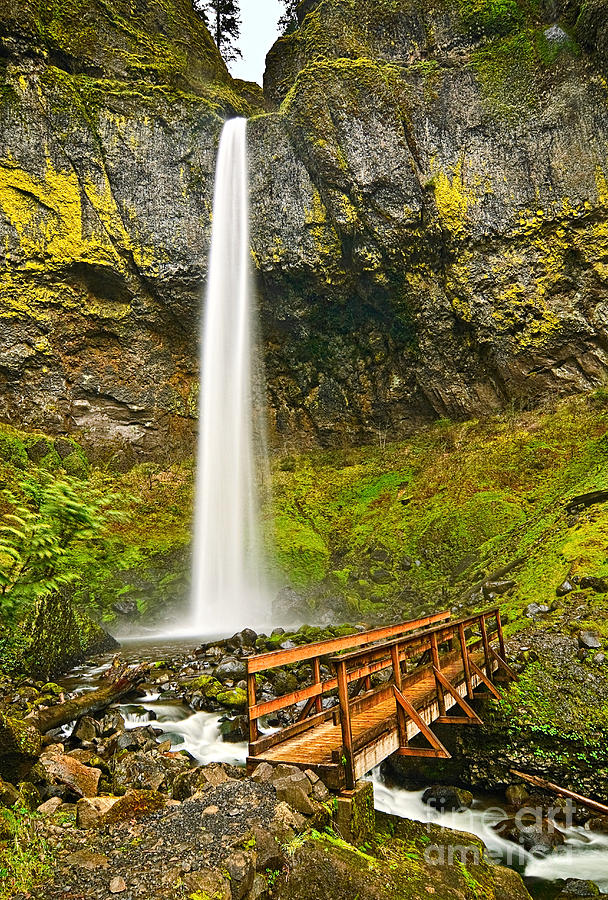Nature Photograph - Scenic Elowah Falls in the Columbia River Gorge in Oregon by Jamie Pham