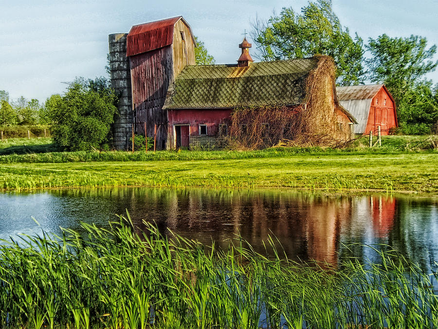 Scenic Farm In Summer by Mountain Dreams