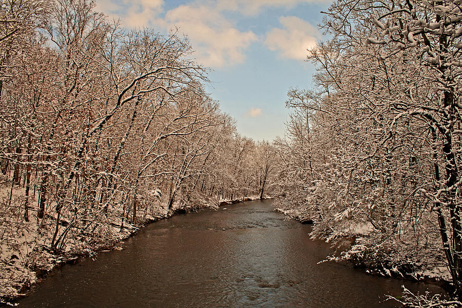 Scenic French Creek Photograph by Michael Porchik