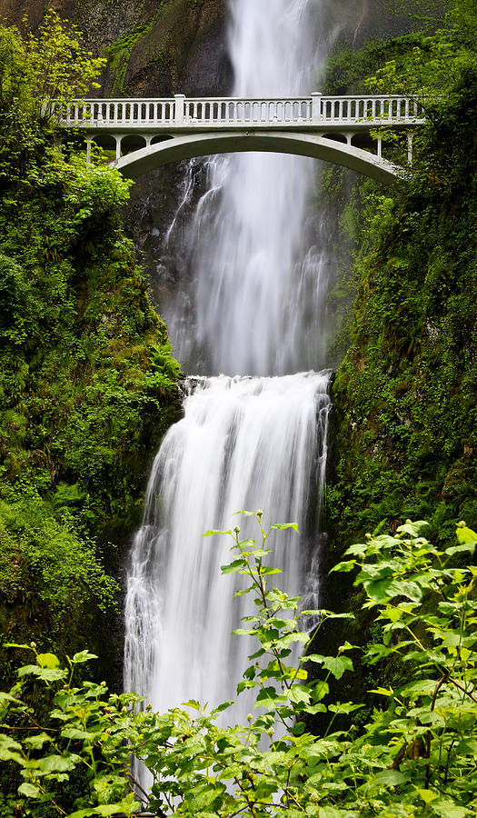 Scenic Gorge Waterfall Photograph by Athena Mckinzie