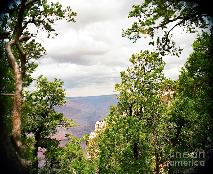 Scenic Grand Canyon 19 Photograph by M K Miller