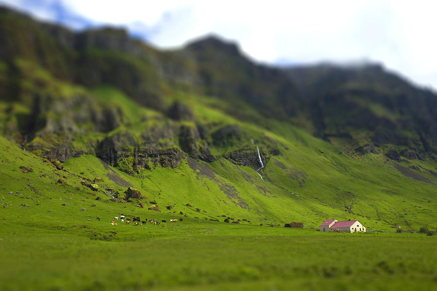 Scenic Iceland Photograph by Sue Cullumber