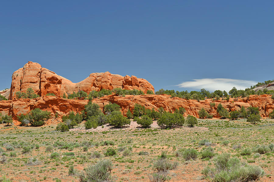 Landscape Photograph - Scenic Navajo Route 12 near Fort Defiance by Alexandra Till