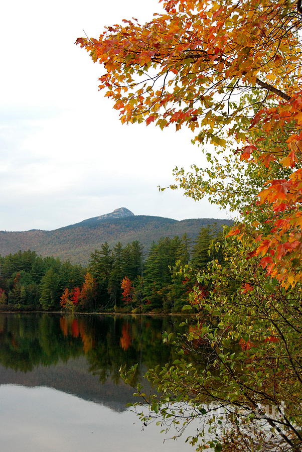 Scenic New Hampshire Lake Photograph by Eunice Miller