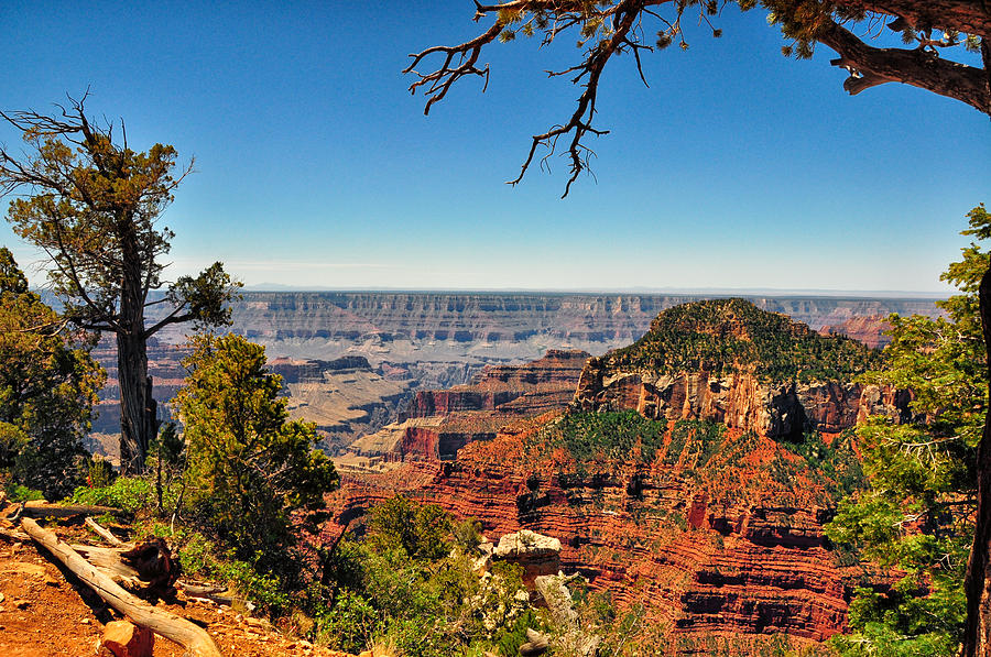 Scenic North Rim - Grand Canyon - Arizona Photograph by Bruce Friedman