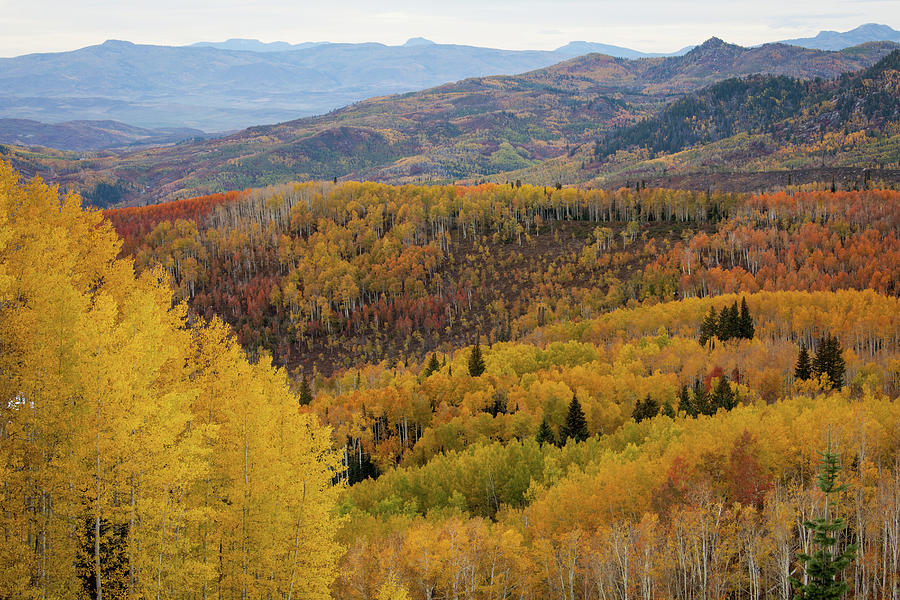 Scenic Overlook With Fall Colors Photograph by Karen Desjardin