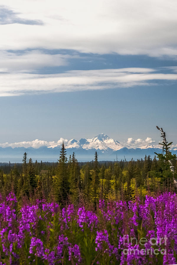 Mountain Photograph - Scenic photo of volcano Augustine by Dan Friend