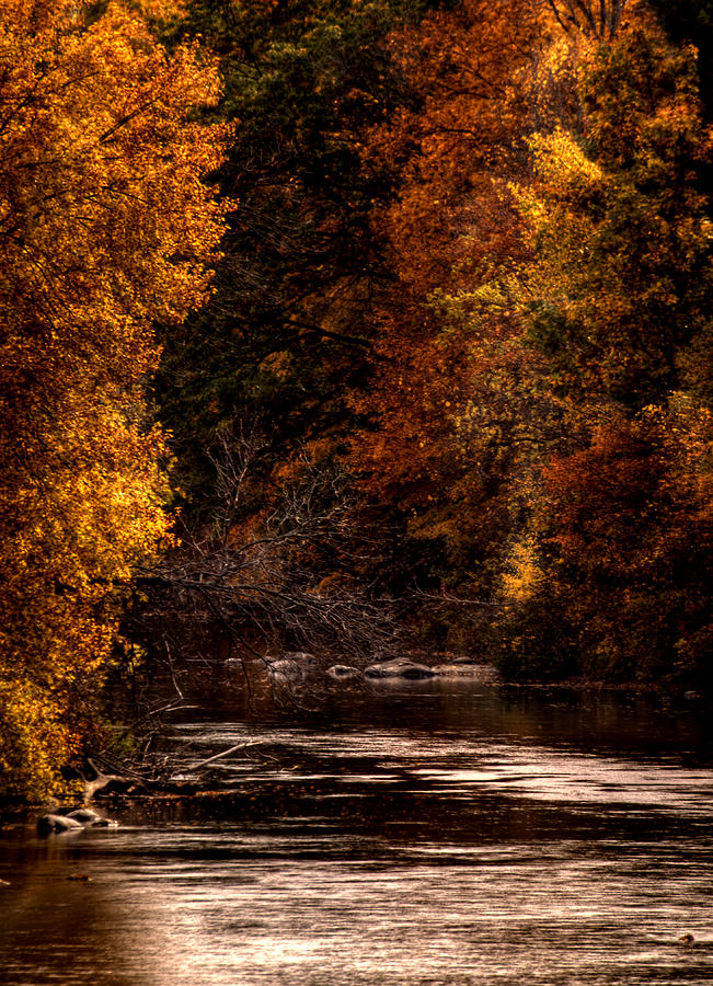 Scenic River Photograph by Thomas Young