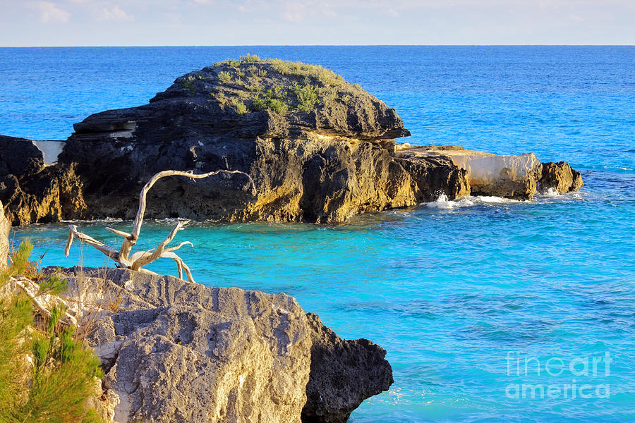 Scenic Seascape Photograph by Charline Xia