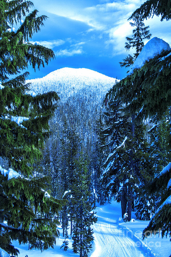 Scenic Snow Covered Mountain Looking Through The Trees at a Blue Sky Photograph by Jerry Cowart