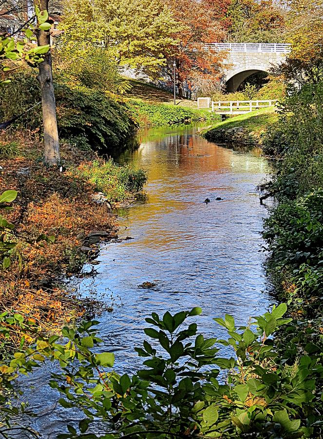 Scenic Town Brook in Fall Photograph by Janice Drew