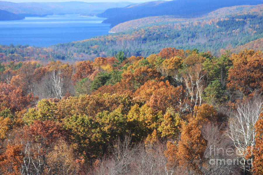 Scenic View at the Quabbin Photograph by Jayne Carney