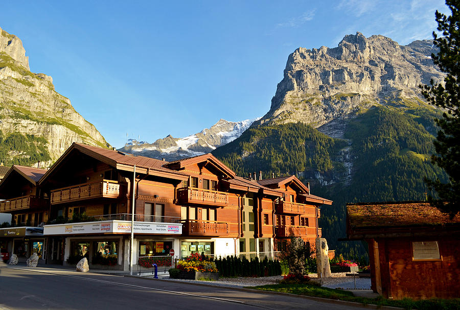 Scenic View In Grindelwald Switzerland by Jeffrey Hamilton