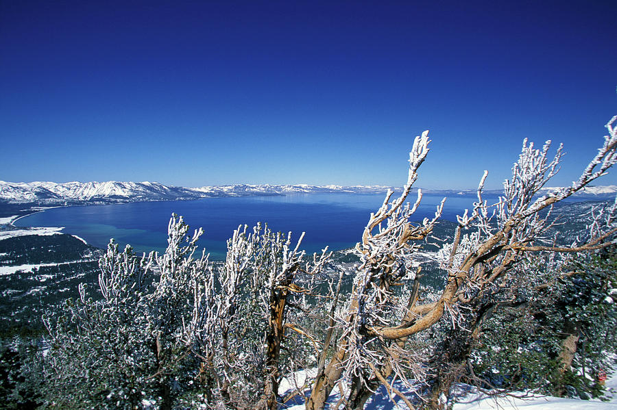 Scenic View Of A Blue Lake, Mountains Photograph by Corey Rich - Fine ...