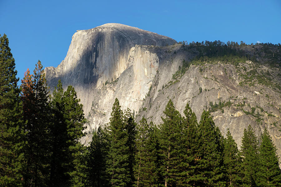 Scenic View Of Half Dome From Yosemite Photograph by Gina Bringman