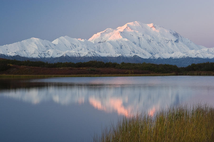 Scenic View Of Mt. Mckinley And The Photograph by Lynn Wegener - Fine ...