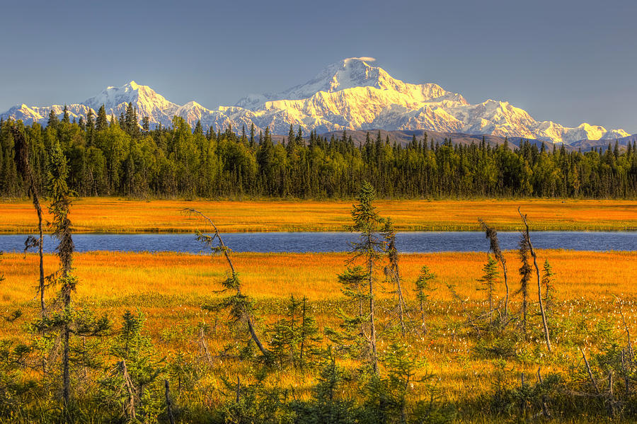 Scenic View Of Mt. Mckinley At Sunset Photograph by Michael Criss