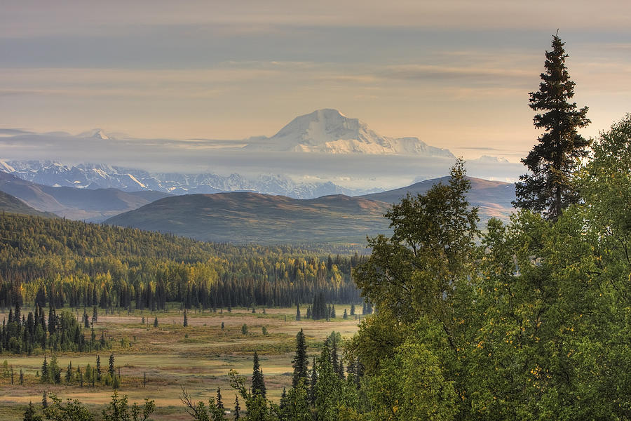 Scenic View Of Mt. Mckinley Just South Photograph by Michael Criss