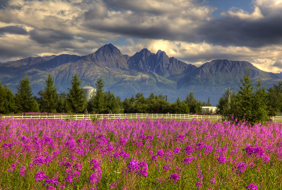 Scenic View Of Pioneer Peak With Photograph by Michael Criss - Pixels