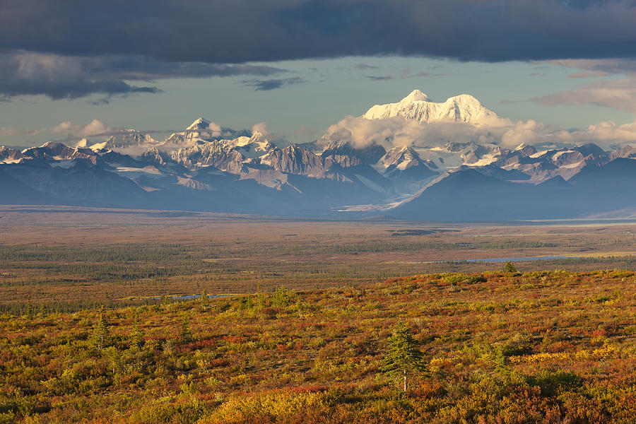 Scenic View Of Tundra And Taiga In Photograph by Michael DeYoung