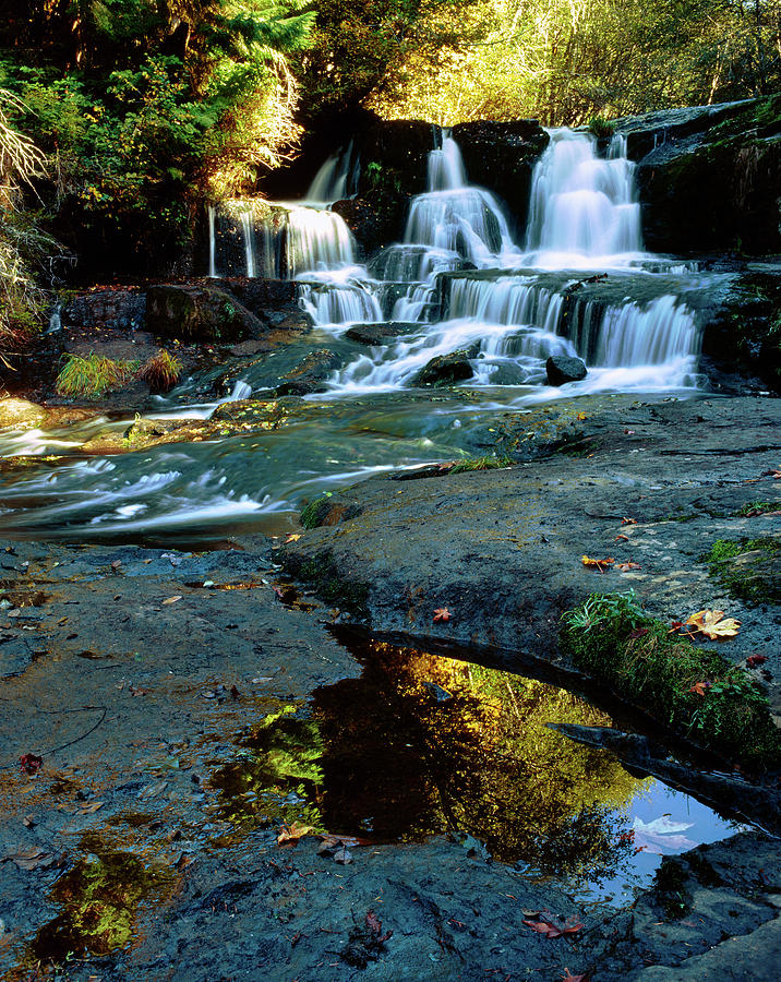 Scenic View Of Waterfall, Alsea Falls Photograph by Panoramic Images