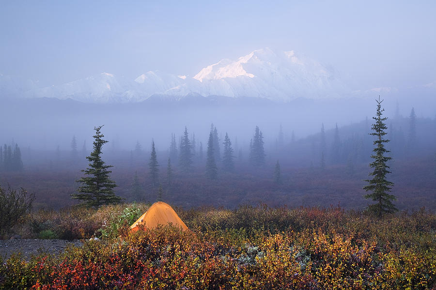 Denali National Park Photograph - Scenic View Of Wonder Lake Campground by John Delapp