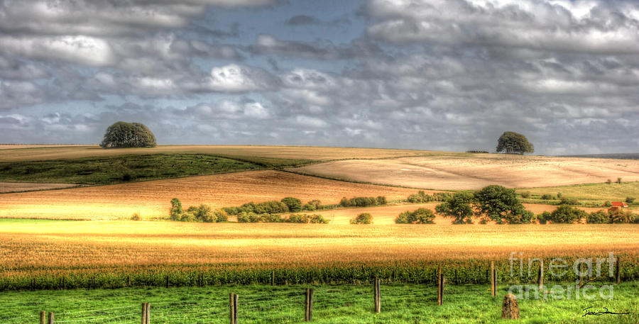 Landscape Photograph - Scenic Wiltshire by Traci Law