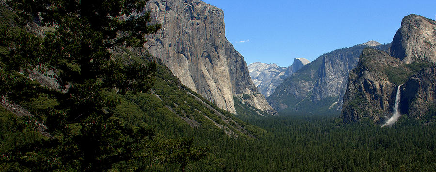 Scenic Yosemite Photograph by Caroline Stella