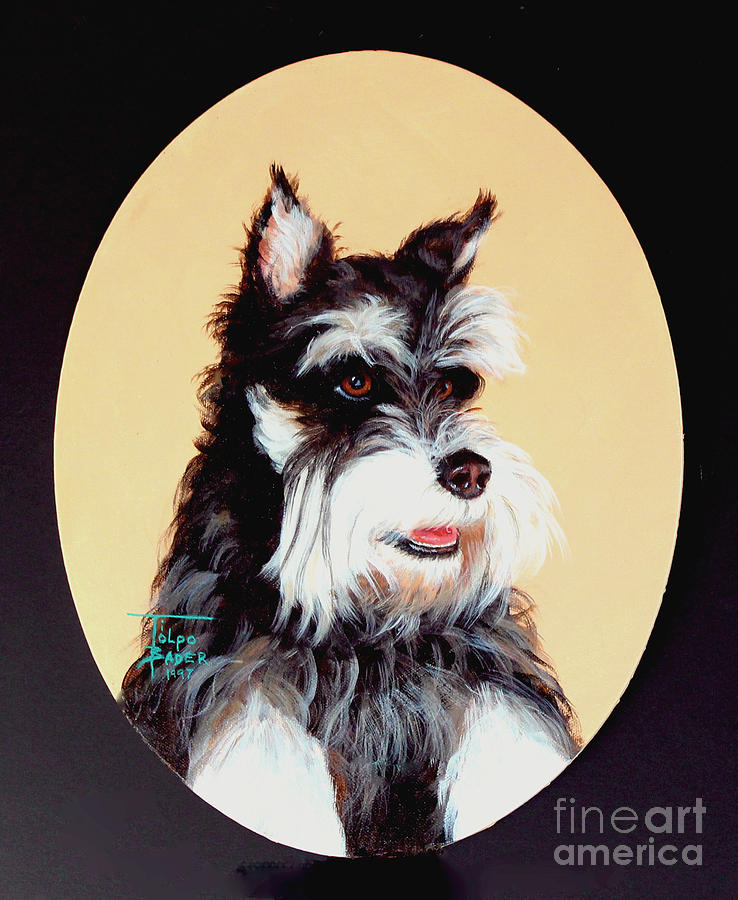 Portrait Painting - Schnauzer by Art By - Ti   Tolpo Bader