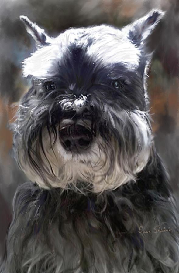 Schnauzer Portrait Painting by Portraits By NC