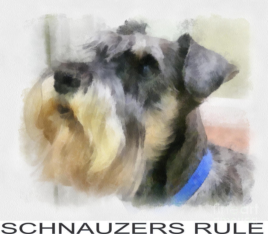 Schnauzer poster Digital Art by Betsy Cotton - Fine Art America